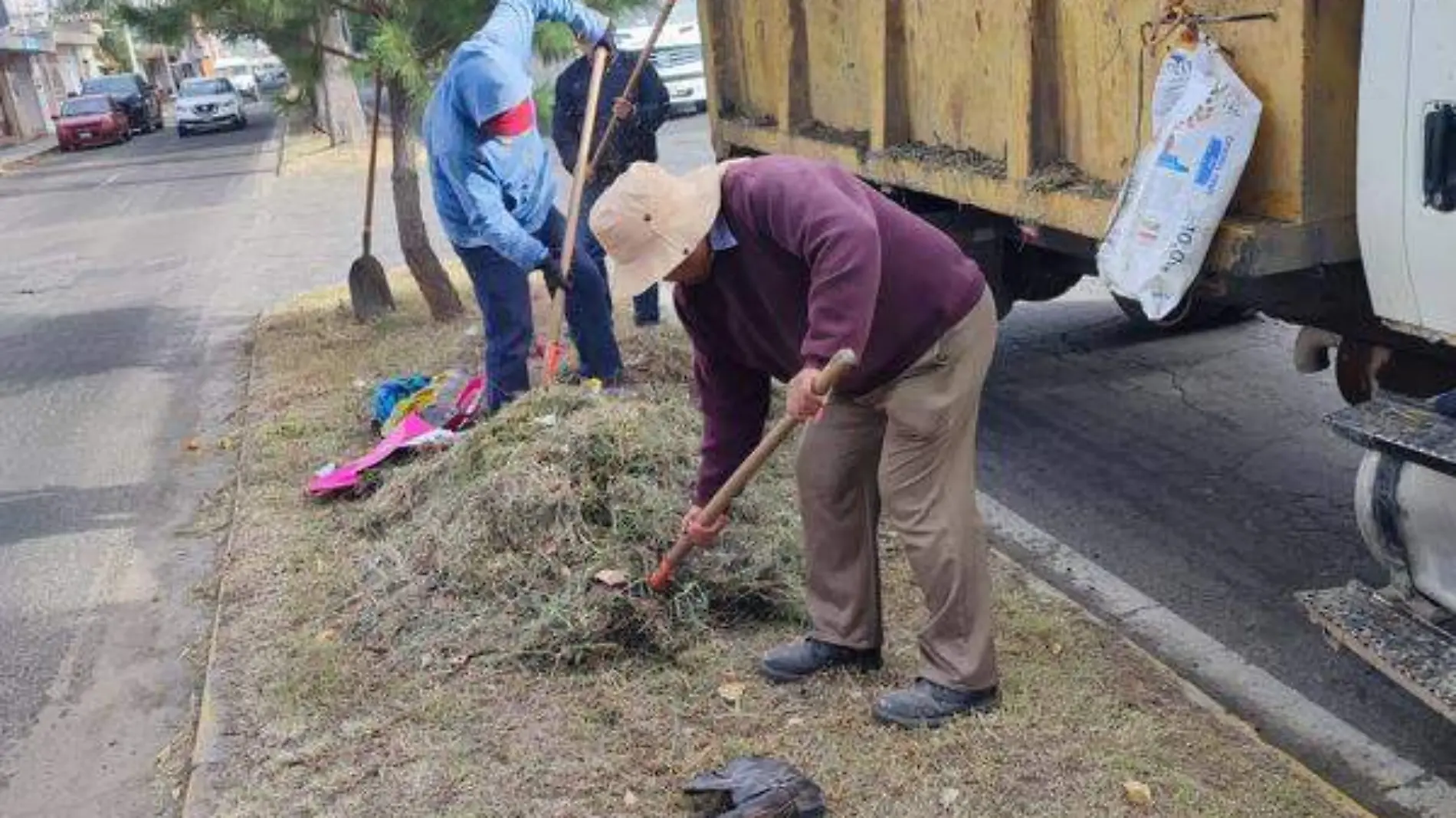 La zona cuenta con trabajos de poda de árboles, atención al área de jardinerías, restauración de banquetas y la rehabilitación de guarniciones diana zempoalteca (2)